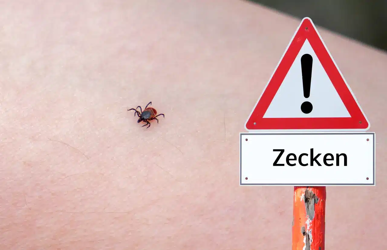 Eine Blutzentrifuge als Beispiel für eine Online-Schulung zur Befähgten Person zur Prüfung von Zentrifugen